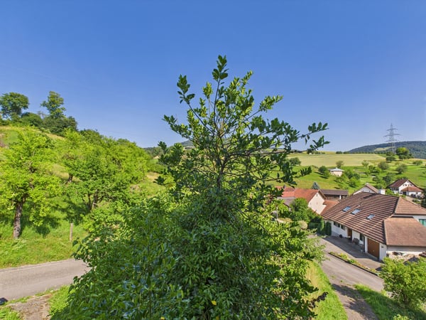 Bebautes Grundstück in Wölflinswil 6