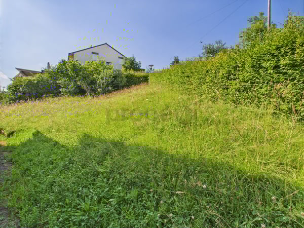 Bebautes Grundstück in Wölflinswil 5