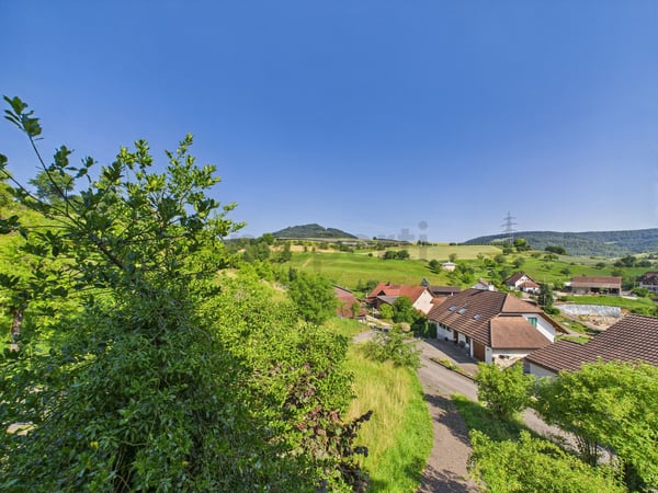 Bebautes Grundstück in Wölflinswil 11