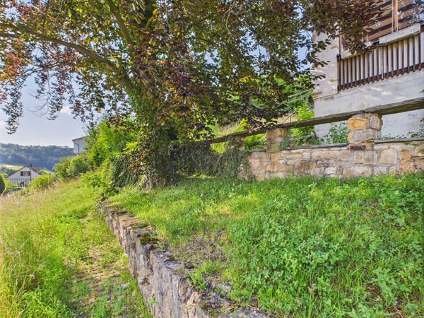 Bebautes Grundstück in Wölflinswil 8