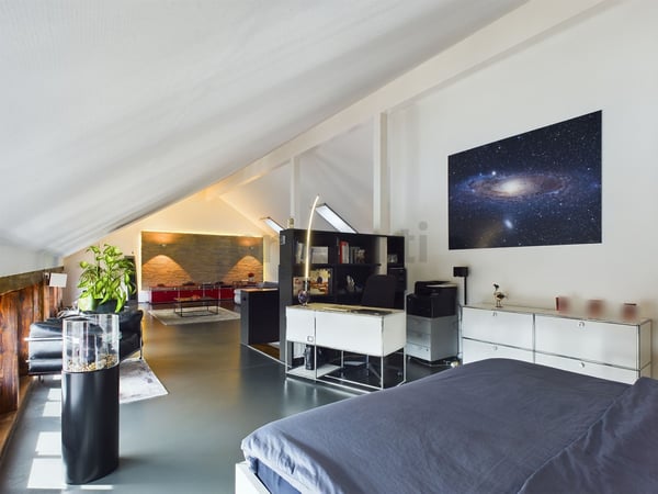 Einzigartige Loft-Wohnung mit beeindruckender Raumhöhe und moderner Ausstattung 4