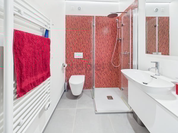 Attico Duplex Ristrutturato a Massagno  residenza primaria e secondaria 9