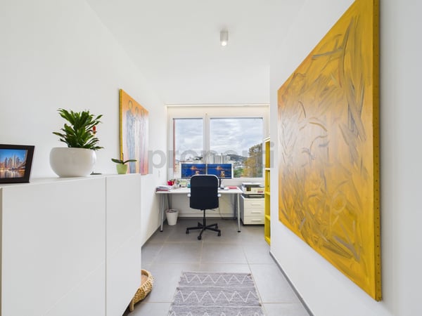 Attico Duplex Ristrutturato a Massagno  residenza primaria e secondaria 8