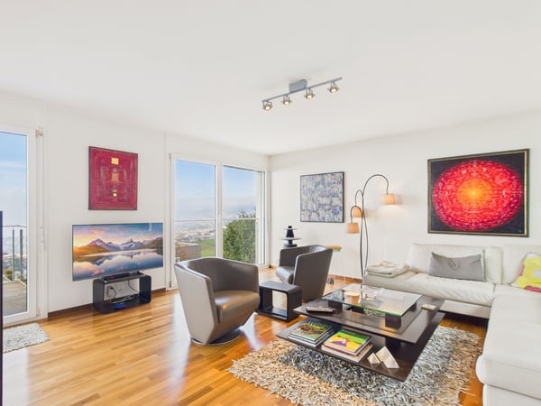 Vue panoramique - Spacieuse maison mitoyenne 1.5 pièces 2