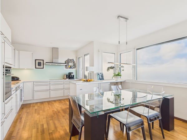 Vue panoramique - Spacieuse maison mitoyenne 1.5 pièces 1