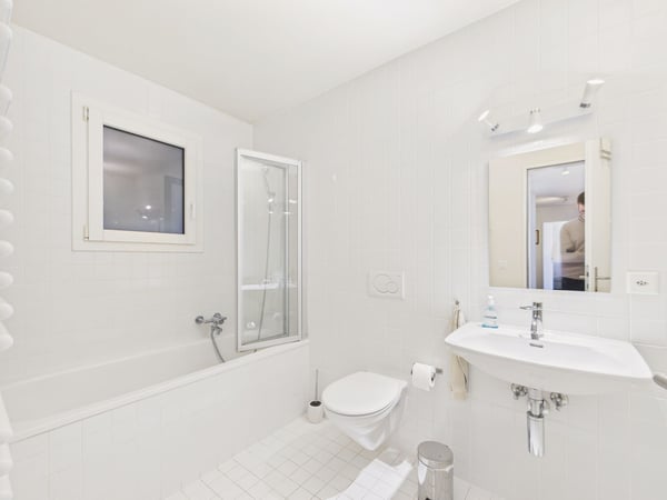 Vue panoramique - Spacieuse maison mitoyenne 1.5 pièces 10