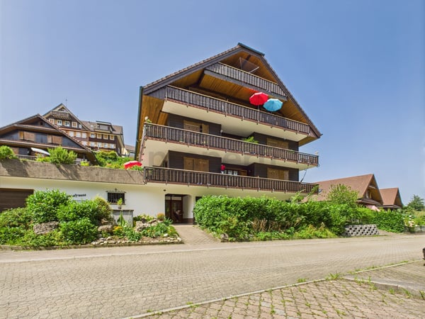 Grosszügige 1.5-Zimmer-Maisonette mit Weitsicht in Meierskappel 12