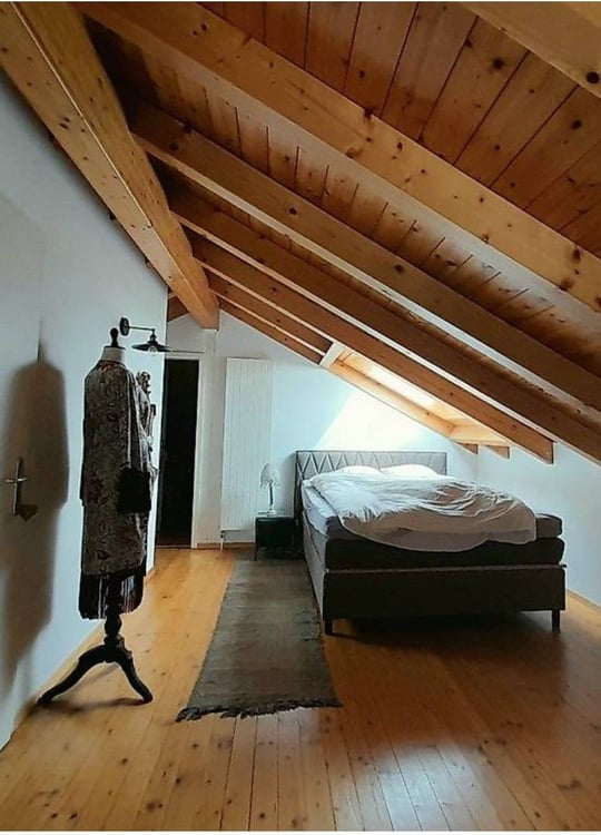 Villa depoca ristrutturata con giardino botanico e tre appartamenti indipendenti  Gudo, Bellinzona 7