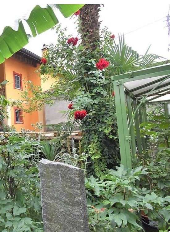 Villa depoca ristrutturata con giardino botanico e tre appartamenti indipendenti  Gudo, Bellinzona 12