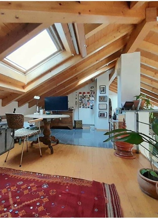 Villa depoca ristrutturata con giardino botanico e tre appartamenti indipendenti  Gudo, Bellinzona 8