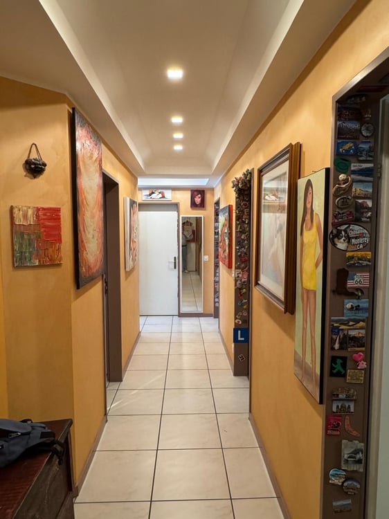 Esclusivo 1.5 appartamento terrazzato con vista panoramica e ampi spazi 4