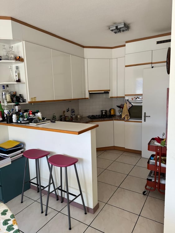 Esclusivo 1.5 appartamento terrazzato con vista panoramica e ampi spazi 2