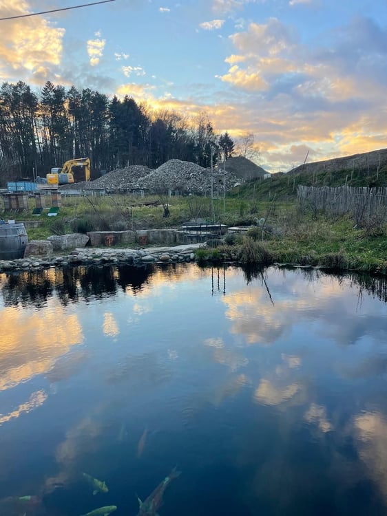 Moderne und grosszügige 1.5-Zimmer Wohnung in Finsterhennen, Kanton BE 9