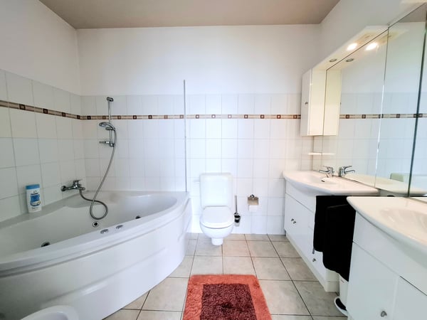 Esclusiva casa monofamiliare di 1.5 locali a Bellinzona, TI con vista mozzafiato 9