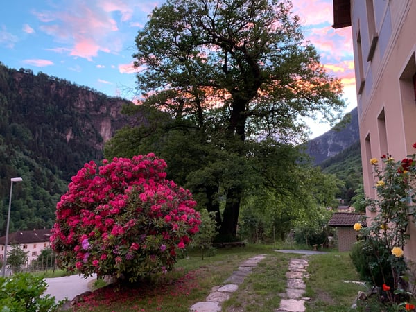 Edificio Stile Liberty immerso nel verde a Faido, ottimo investimento anche a reddito 2