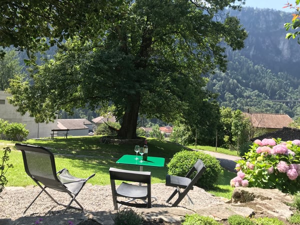 Edificio Stile Liberty immerso nel verde a Faido, ottimo investimento anche a reddito 9