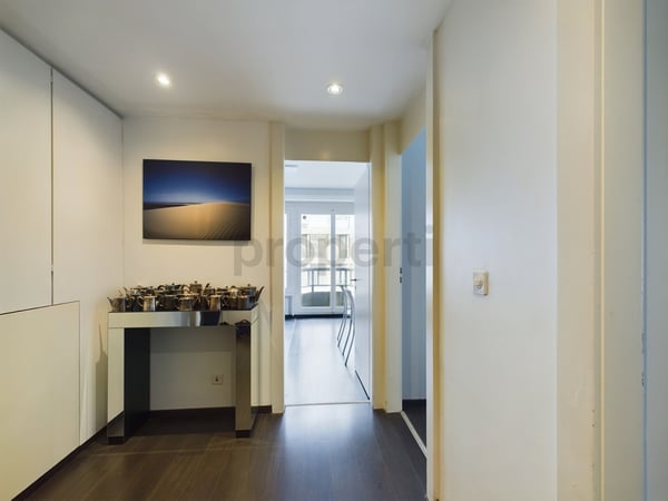 Luxueux appartement meublé de 1 pièces au cSur de Genève 5