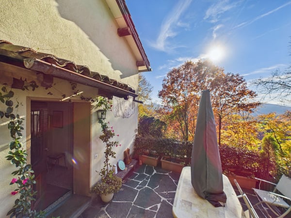 Affascinante casa unifamiliare di 1.5 immersa nel verde ad Aranno 2