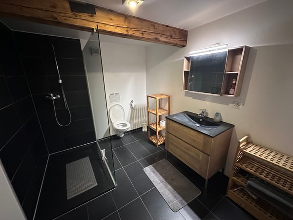 Charmant appartement meublé à Val-de-Charmey (Gruyère) 7