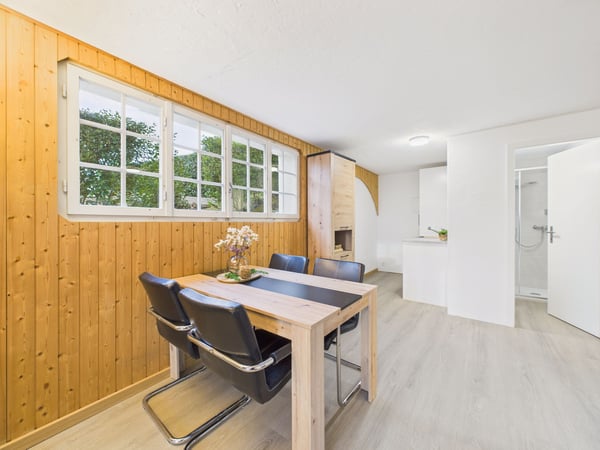 Neu renovierte 2-Zimmer Wohnung mit Bergsicht in Hitzkirch 4