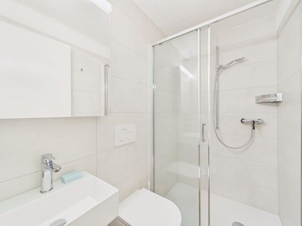 Neu renovierte 2-Zimmer Wohnung mit Bergsicht in Hitzkirch 5