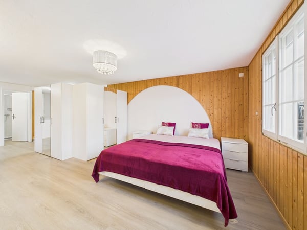 Neu renovierte 2-Zimmer Wohnung mit Bergsicht in Hitzkirch 2