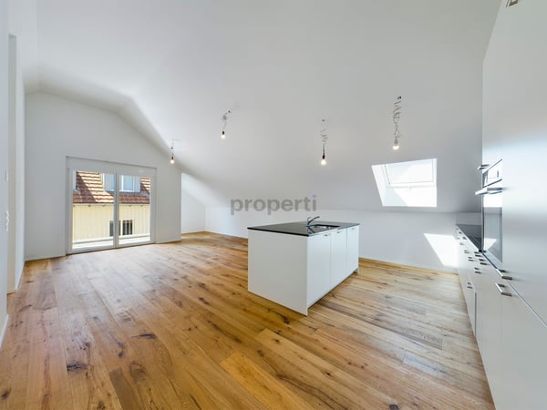 Herausragende Dachwohnung in Illnau-Effretikon, Kanton ZH 1