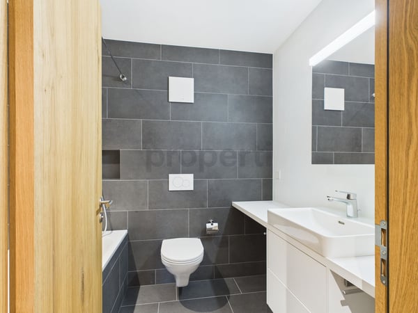 Schöne 1.5-Zimmer Maisonette-Neubauwohnung mit Berg- und Seeblick in Brigels 8