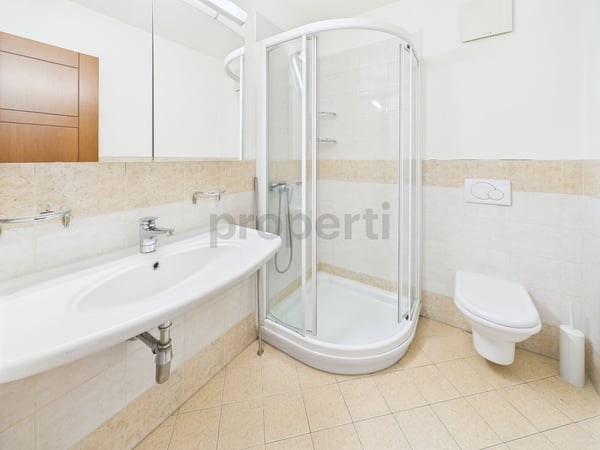 Luminoso appartamento da 1.5 locali con giardino a Morcote 10