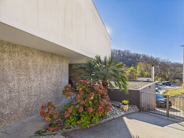 Villa da sogno con 1 camere a Mendrisio, Canton Ticino 11