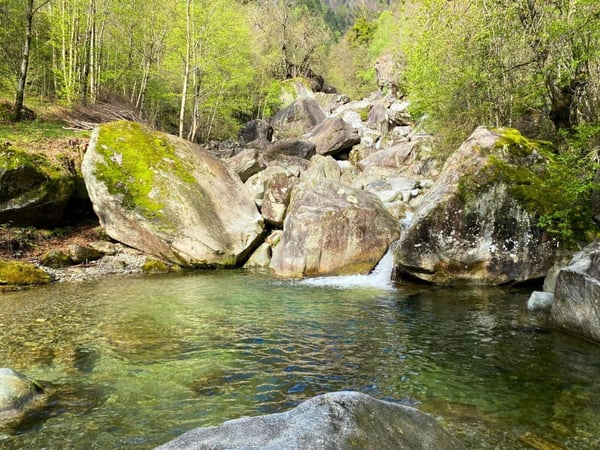 Terreno edificabile con piscina naturale a Giornico 5