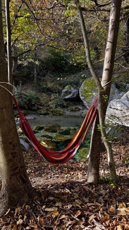 Terreno edificabile con piscina naturale a Giornico 4