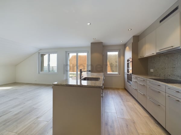 Grosszügige 1.5-Zimmer-Attikawohnung mit traumhafter See- & Bergsicht in Hausen am Albis 2