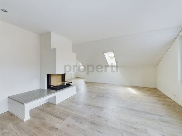 Grosszügige 1.5-Zimmer-Attikawohnung mit traumhafter See- & Bergsicht in Hausen am Albis 1