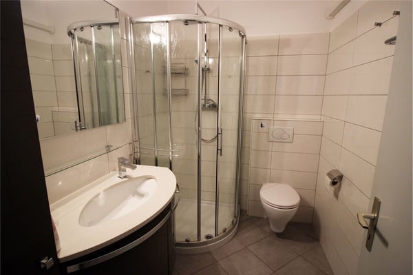 Prestigiosa proprietà con tre appartamenti indipendenti e grande giardino  Carona 4