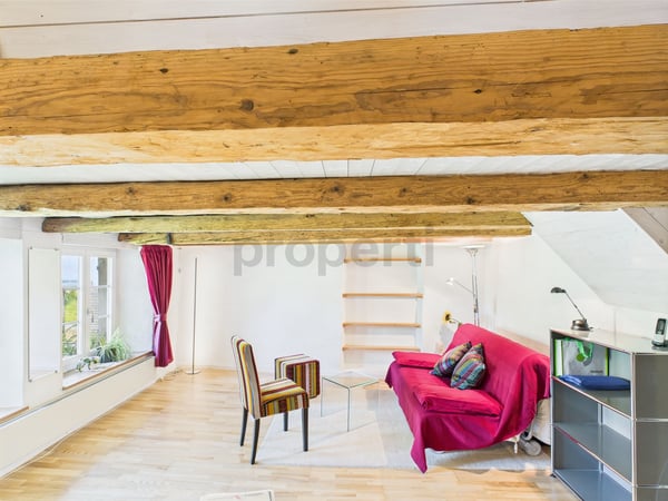 Verzauberndes und liebevoll gepflegtes Einfamilienhaus für Famiien auf 4 grosszügigen Etagen 7