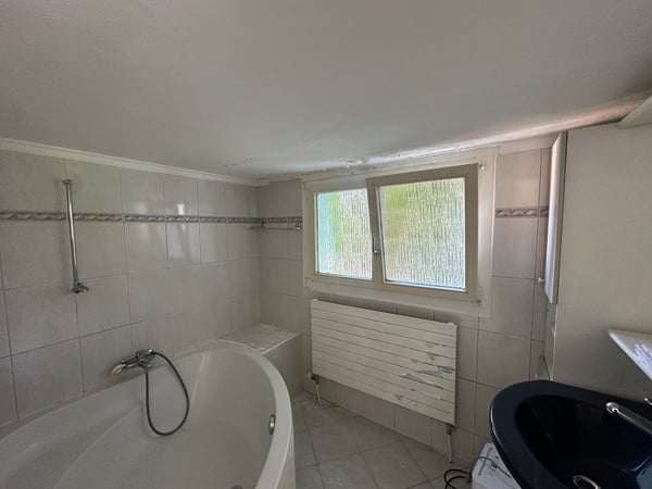 Renovationsbedürftiges 1-Zimmer-Einfamilienhaus mit separatem 2.1-Zimmer-Tiny House 6