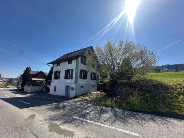 Renovationsbedürftiges 1-Zimmer-Einfamilienhaus mit separatem 2.1-Zimmer-Tiny House 1