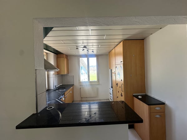 Renovationsbedürftiges 1-Zimmer-Einfamilienhaus mit separatem 2.1-Zimmer-Tiny House 4