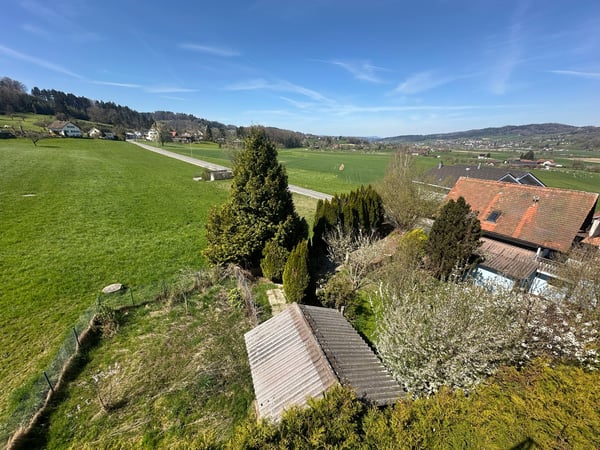 Renovationsbedürftiges 1-Zimmer-Einfamilienhaus mit separatem 2.1-Zimmer-Tiny House 8