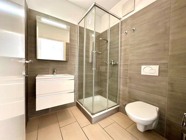 Luminoso 1.5 appartamento ristrutturato con balcone in zona centrale 7