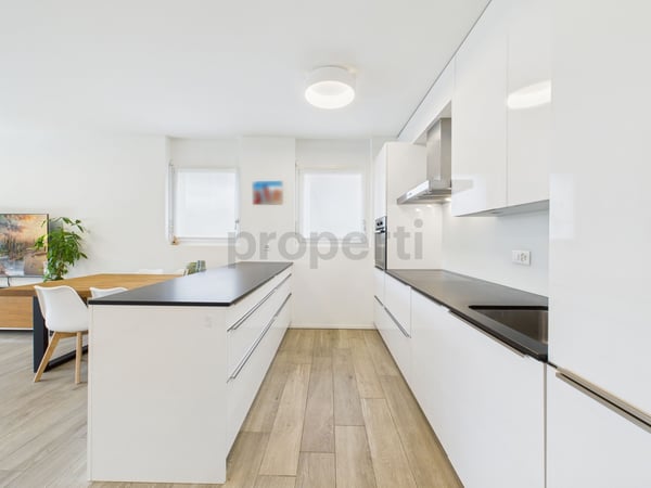 Eleganza moderna con giardino privato a Pazzallo 2