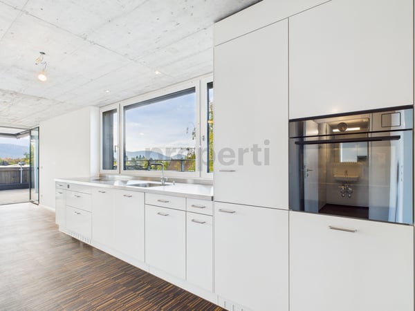 Exklusive 1.5-Zimmer Attikawohnung in Therwil 4