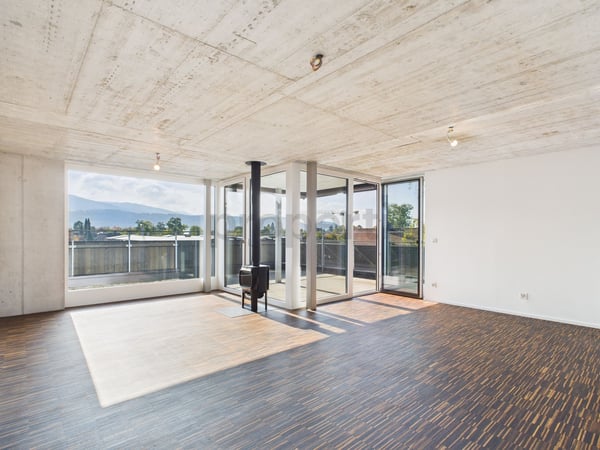 Exklusive 1.5-Zimmer Attikawohnung in Therwil 1