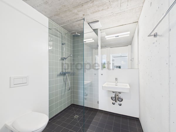 Exklusive 1.5-Zimmer Attikawohnung in Therwil 10