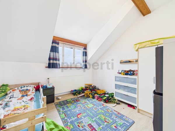 Wunderschönes 1.5-Zimmer Einfamilienhaus mit Scheune in Hefenhofen 10