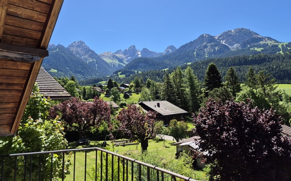 Charme Alpin & Grands Espaces LOT 4 : Magnifique 1.5 Pièces au 1er Étage 5