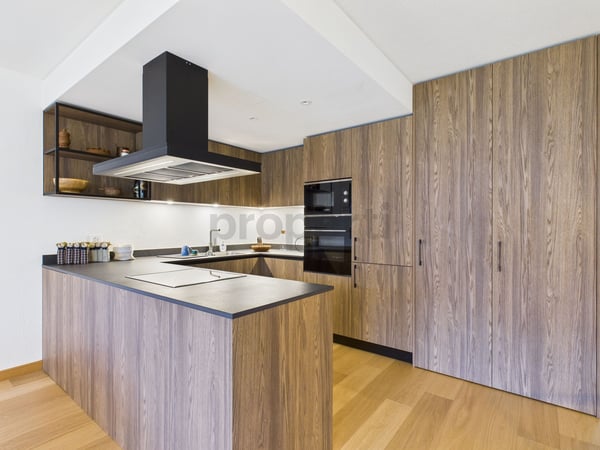 Moderne 1.5 Zimmer Wohnung im San Bernadino Skigebiet- Erst-/Zweitwohnsitz 5