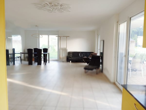 Modernes 1.5-Zimmer-Doppelhaus an ruhiger Lage in Schmitten FR 4