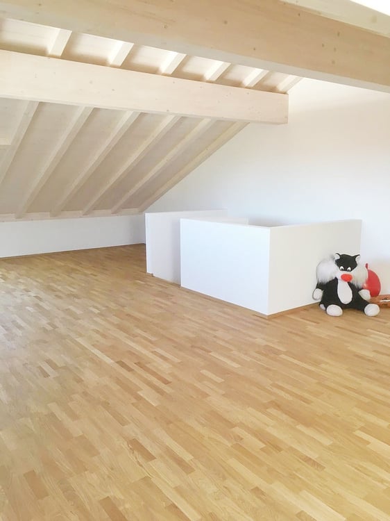 Modernes 1.5-Zimmer-Doppelhaus an ruhiger Lage in Schmitten FR 5